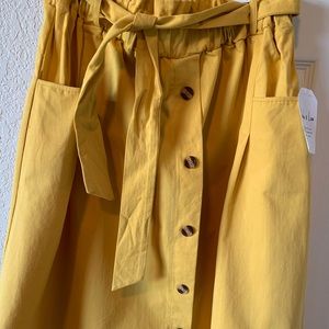 Brand New! Sadie and Love Skirt